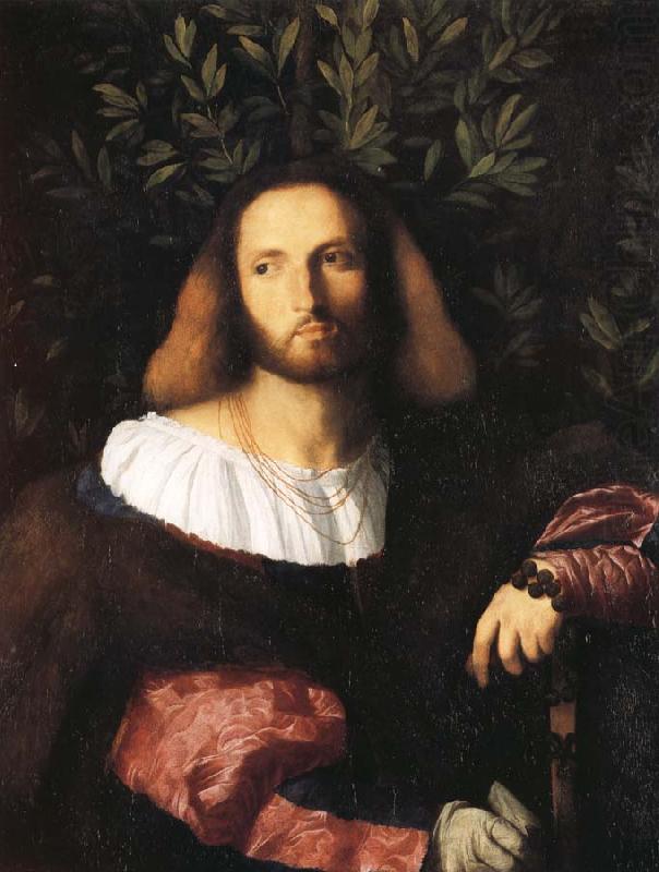 Palma Vecchio Portrait of a Poet china oil painting image